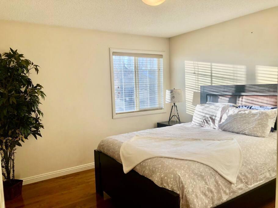 Villa 2500 Sq House In Springbank Hill Bl 261818 à Calgary Extérieur photo